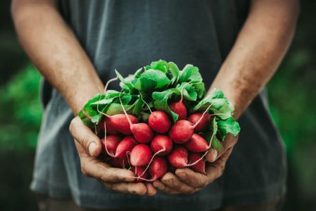 Certificate in Food Gardening Level 3